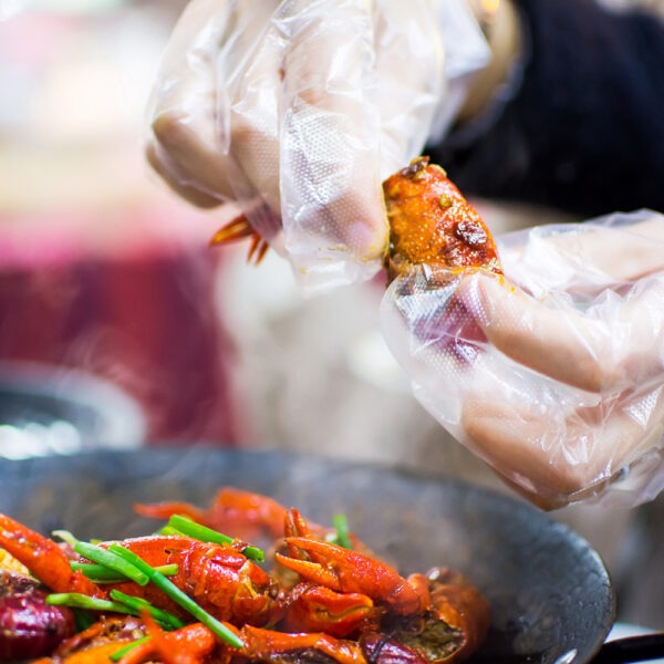 Armor Disposable Protective Gloves Plus 200 pcs per box - Image 3