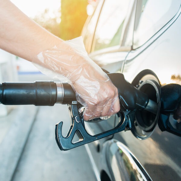 Armor Disposable Protective Gloves Plus 200 pcs per box - Image 2